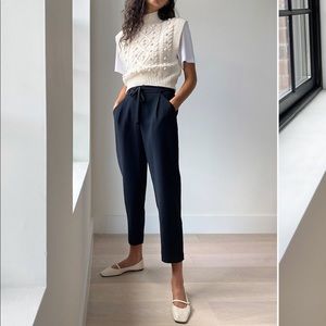 Aritzia Wilfred New Allant Pants